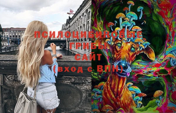 jwh Магас